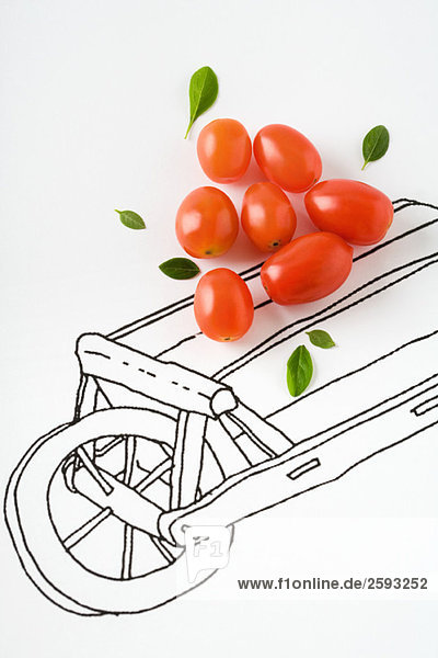 Roma-Tomaten und Basilikumblätter auf Karrenzeichnung