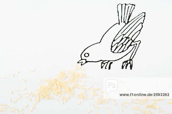 Vogel pickt auf Reis