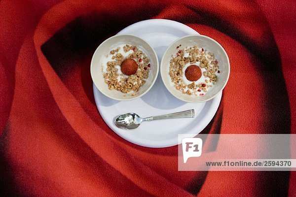 Zwei Schalen Joghurt  Müsli und Erdbeeren auf einer Decke mit Rosendruck