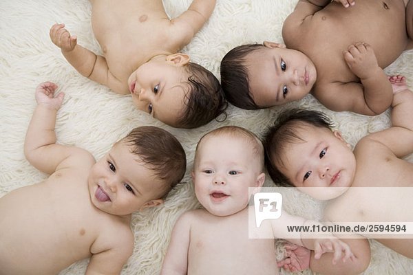 Fünf Babys liegen auf einem Schaffellteppich im Kreis  direkt darüber.
