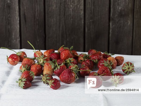 Eine große Gruppe frischer Erdbeeren auf einer weißen Tischdecke
