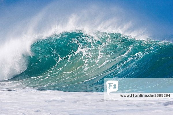 Surf wave  Oahu  Hawaii  USA