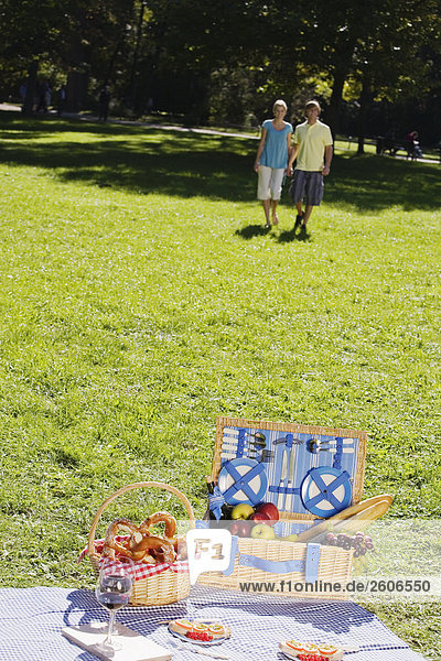 Junges Paar geht im Park halten Hände Picknickkorb und Decke im Vordergrund