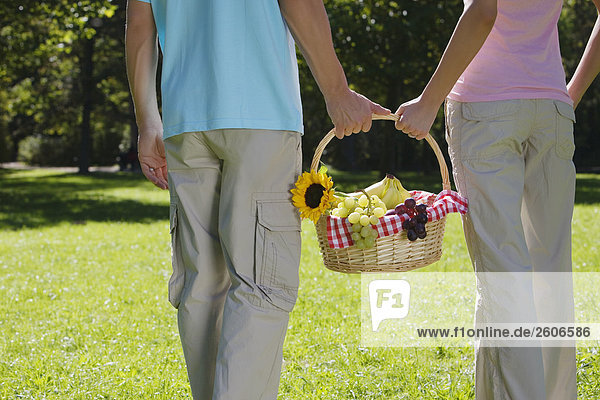 Junges Paar geht im Park tragen gemeinsam Picknickkorb in der Hand Nahaufnahme