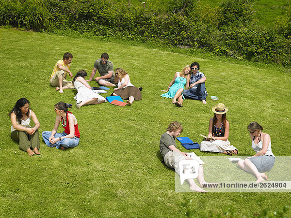 Mehrere junge Leute studieren auf dem Rasen