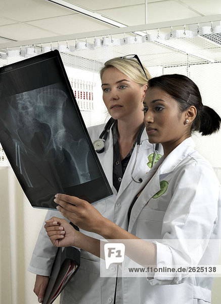 Two doctors with x-ray