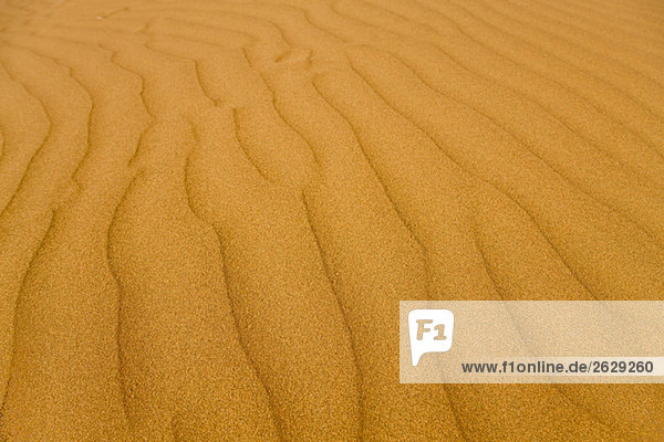 Afrika  Namibia  Namib Wüste  Dünenstrukturen  Vollbild