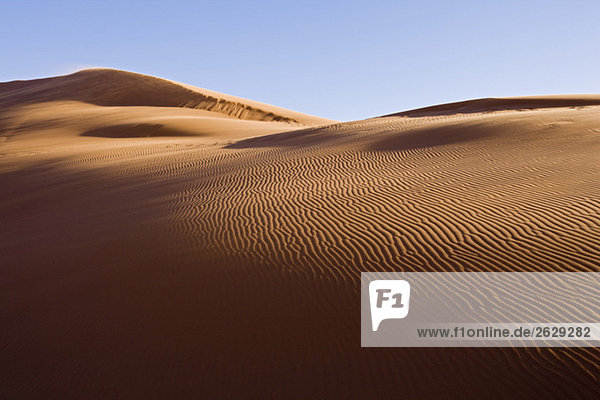 Afrika  Namibia  Namib Wüste  Düne 45