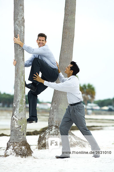 Geschäftsmann klettert mit Hilfe eines Mitarbeiters auf die Palme