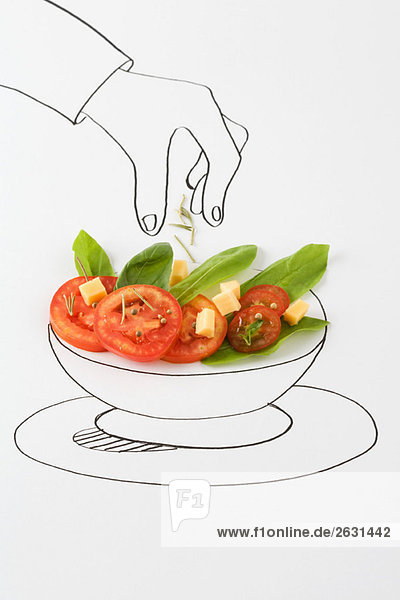 Zeichnen von Handstreuselgewürzen auf Salat
