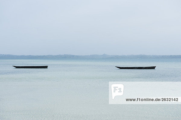 Tanzania  Zanzibar  dugout canoes