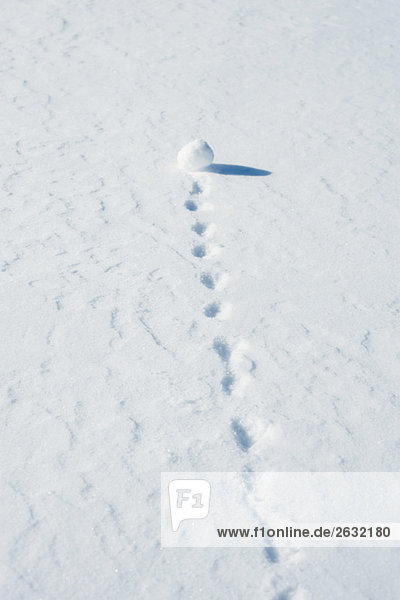 Snowball leaving trail as it rolls through snow