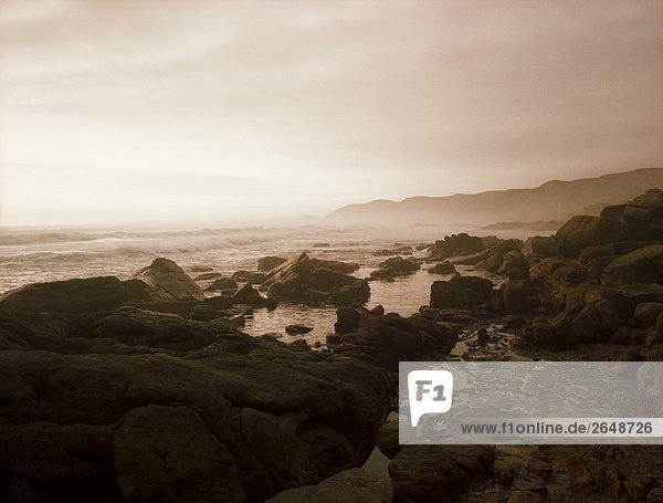 Felsenküste  Kap der guten Hoffnung  Provinz Westkap  Südafrika