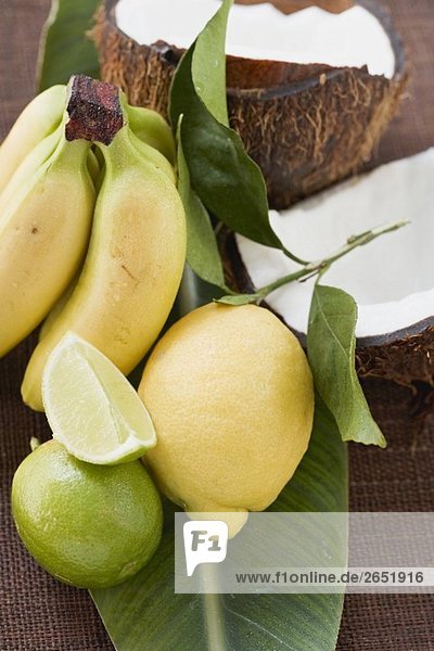 Zitrone  Limetten  Bananen und Kokosnuss