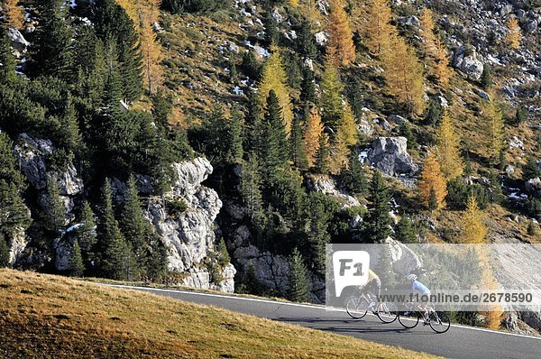 Zwei Mountainbiker Radfahren zusammen  Trentino-Südtirol  Dolomiten  Italien