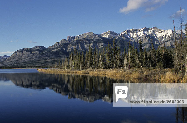 Reflexion der Berg im Wasser  Talbot See  Miette Range  Jasper-Nationalpark in Alberta  Kanada