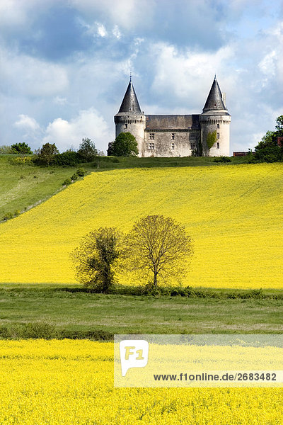 Schloss über eine Raps-Feld (gelbe Kohl) Frankreich