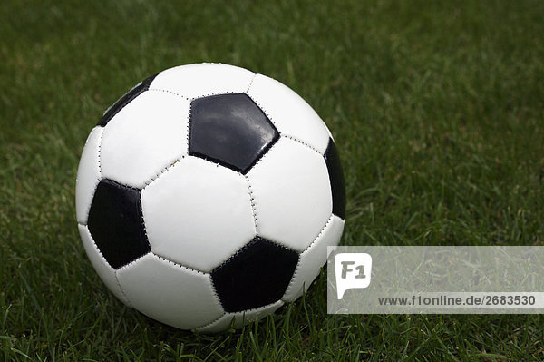 Fußball Ball auf Gras