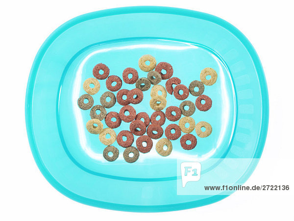 Cat food on plastic plate  elevated view