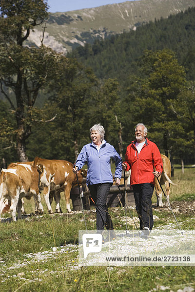 Österreich  Karwendel  Seniorenpaar Nordic Walking