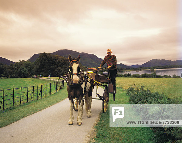 Man standing on Pony mit Trap im Killarney-Nationalpark im County Kerry in Irland