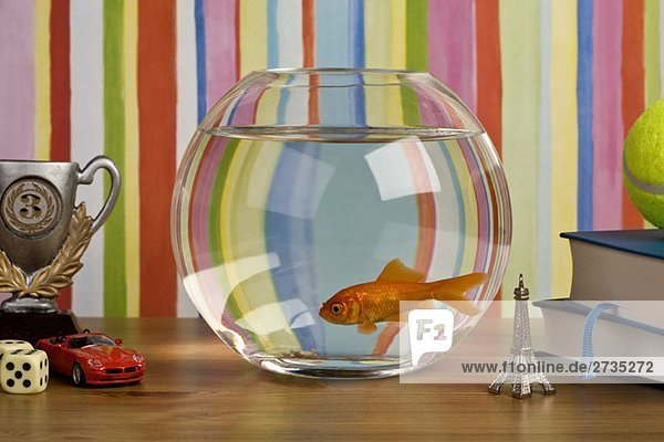 Ein Goldfisch im Fischglas auf einem Tisch mit verschiedenen Kniffen
