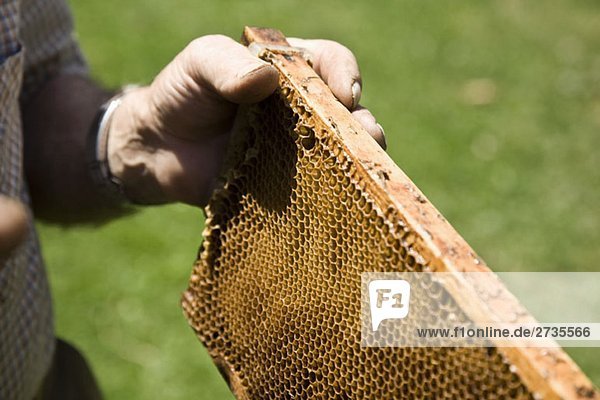 A man holding a honeycomb tray