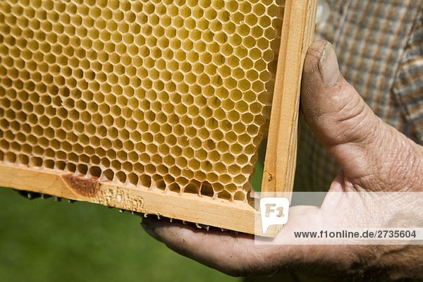 A man holding a honeycomb tray