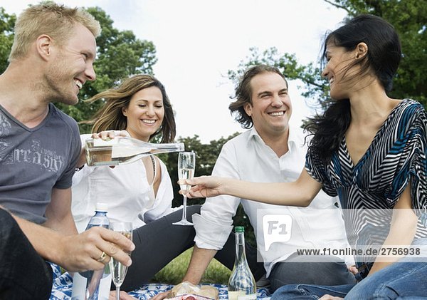 Männer und Frauen beim Picknick