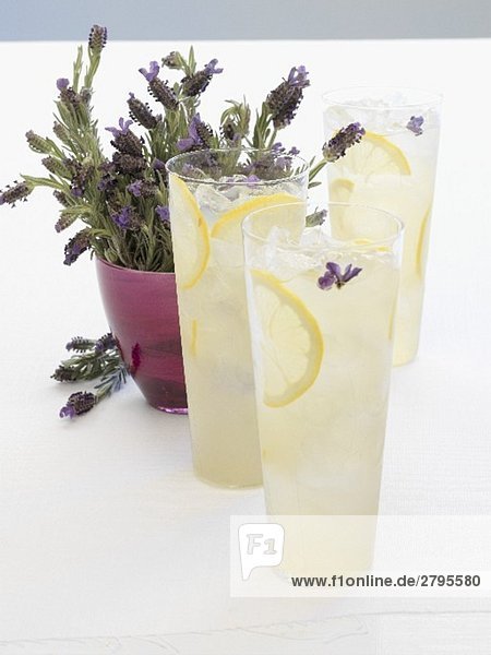 Drei Gläser Lavendel-Limonade  im Hintergrund Lavendelblüten