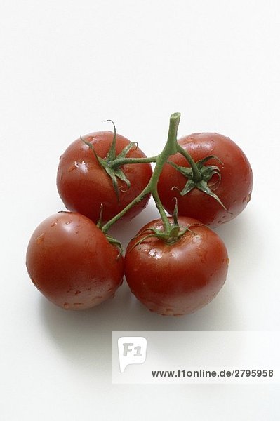Vier Tomaten