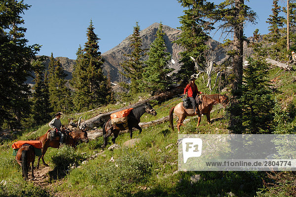 People riding horses at hillside  Weminuche Wilderness  Colorado  USA