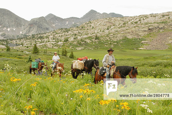 Man and woman riding horses in field  Weminuche Wilderniss  Colorado  USA