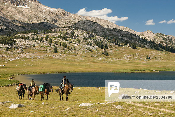 Man and woman riding horses in field  Wind River Range  Wyoming  USA