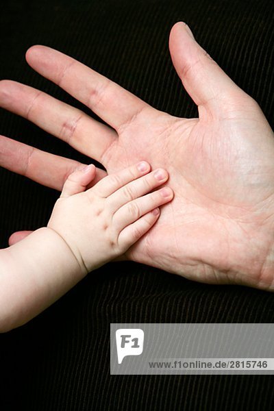 An adult hand and baby hand close-up.