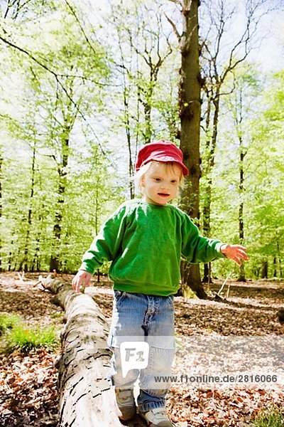 A boy balancing a log Skane Sweden.