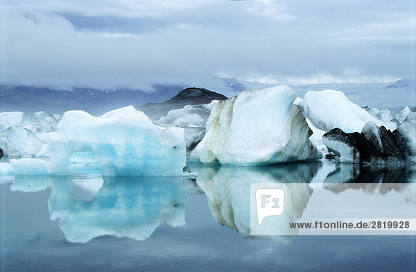 Ice bergs floating on water