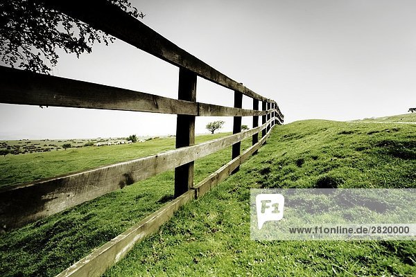 Zaun auf Wiese  Dartmoor  Devon  England
