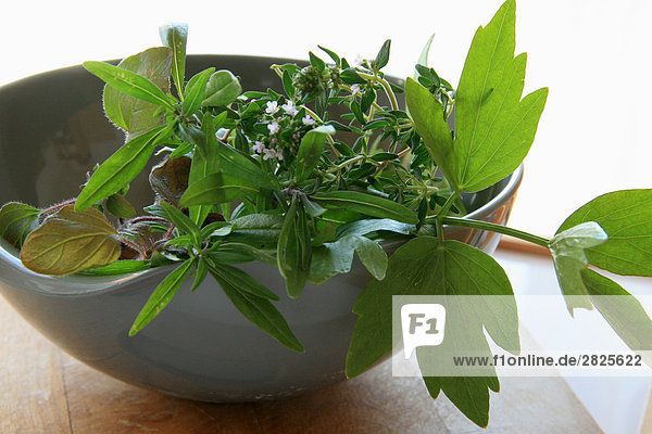 Close-up of herbs in bowl