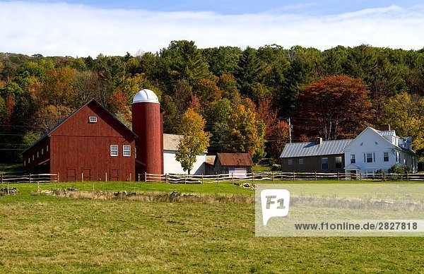 Farm bei Weston  Vermont  USA
