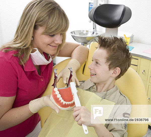 Female dentist showing denture to boy