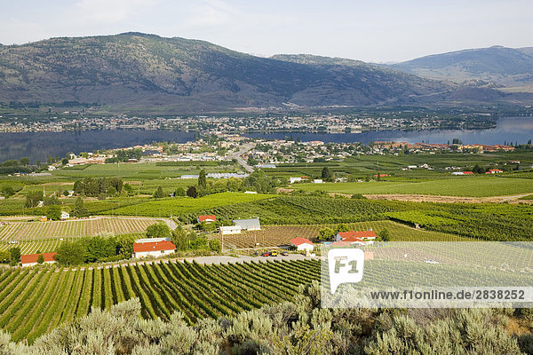 Ansicht des Weingartens und Stadt des Osoyoos auf Osoyoos Lake  British Columbia  Kanada.