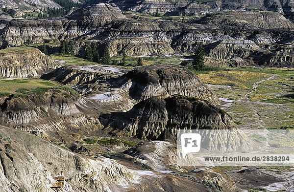 Dinosaurier-Provinzpark  eine UNESCO World Heritage Site  Alberta  Kanada