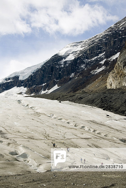 Menschen Klettern auf der Columbia Eisfeldern gebären  Jasper-Nationalpark  Alberta  Kanada.