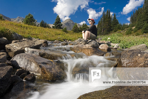 Frau von einem Apline Creek und Wiese entlang der Skylone Trail  Jasper-Nationalpark in Alberta  Kanada.