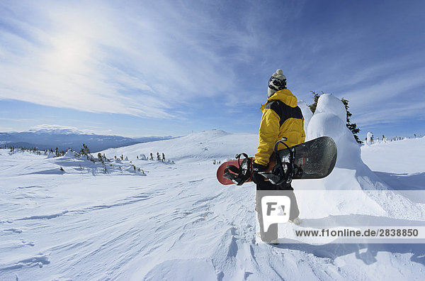 Snowboarder in alpine  Hudson Bay Mountain  Smithers  British Columbia  Canada.