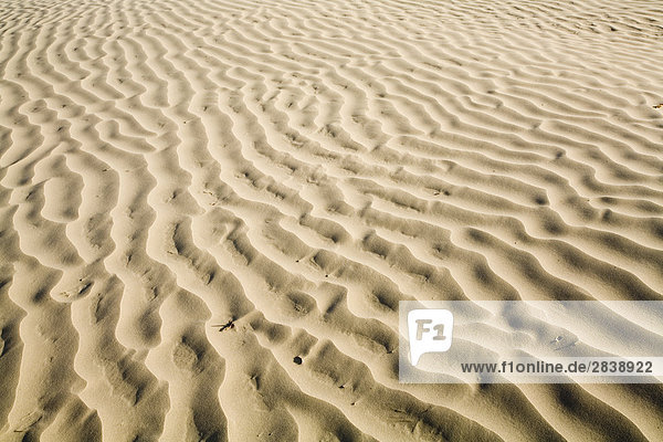 Sanddünen in der große Sand Hügel Ecológica in der Nähe von Zepter  Saskatchewan  Kanada.