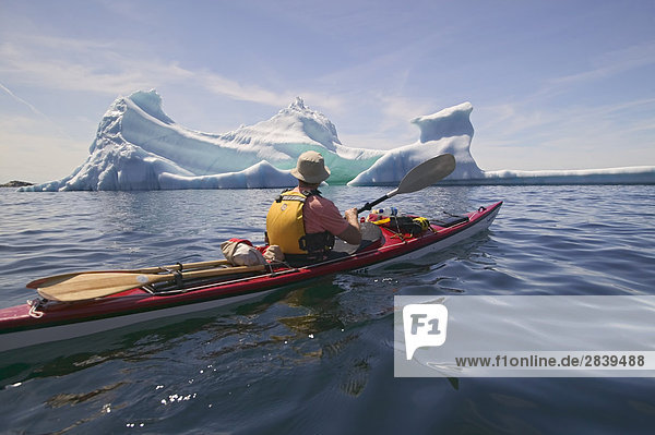 Kayaking with Iceberg  near Merritt's Habour  close to Twillingate  Kittiwake Coast  Newfoundland  Canada.