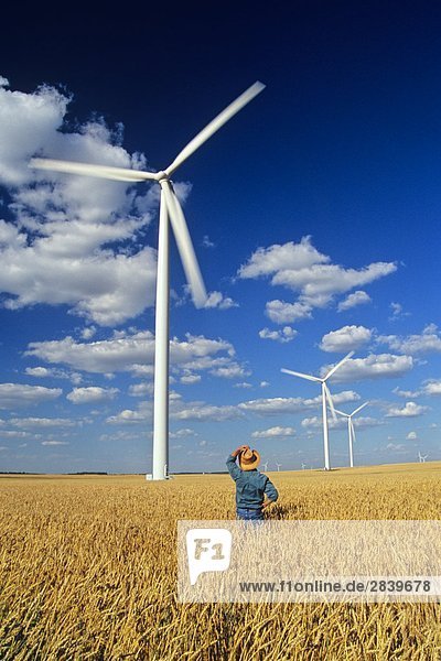 Windturbine Windrad Windräder Mann sehen Weizenfeld Kanada Leon Manitoba