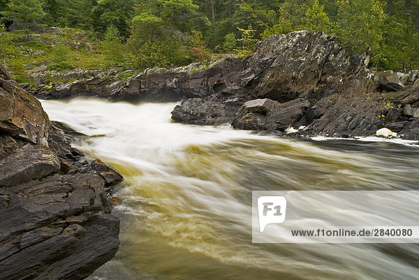 River Aux Sables in Rutschen Provincial Park in der Nähe von Massey  Ontario  Kanada.
